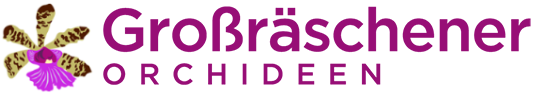 Großräschener Orchideen