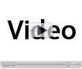 Play video for  Schoenorchis scolopendria